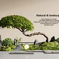 Serene Indoor Natural Landscape With Curved Tree Mountain Stones Green Moss And Stone Path