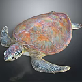 Colorful Sea Turtle With Vibrant Carapace And Detailed Flipper Texture