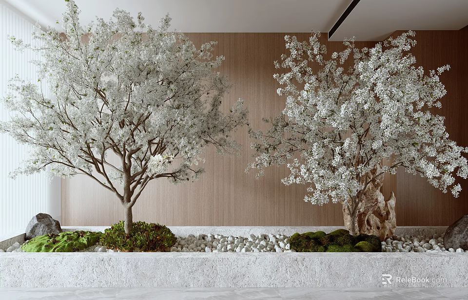 Blooming Cherry Trees With White Flowers Green Plants And Pebble Decoration In Modern Interior 3d model 