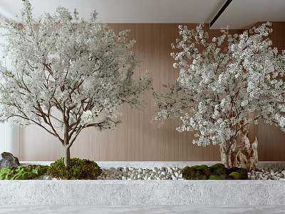 Blooming Cherry Trees With White Flowers Green Plants And Pebble Decoration In Modern Interior 3d model