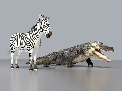 Aquatic Animal Crocodile With Open Mouth Standing Beside Zebra On Gray Background 3d model
