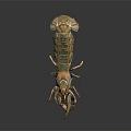 Vibrant Greenish Brown Lobster With Extended Claws Detailed Shell And Antennae On Dark Surface
