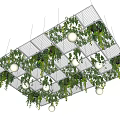 Ceiling Design With Grid Structure Green Hanging Plants And Round Balls