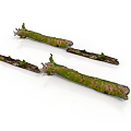 Three Tree Branches Covered With Green Moss On White Background