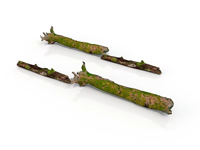 Three Tree Branches Covered With Green Moss On White Background 3d model