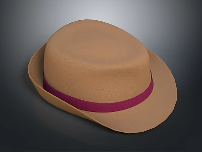 Stylish Brown Hat With Purple Band For Daily Casual Fashion Accessory 3d model