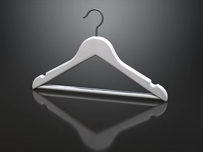Modern Wardrobe Interior With White Hanger And Black Reflective Background 3d model