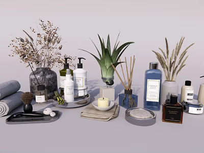 Stylish Bathroom Accessories With Lotion Bottles Diffusers Towels And Decorative Plants 3d model