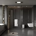 Modern Bathroom Interior Design With Bathtub Glass Shower Sink White Toilet And Dark Cabinets