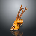 Deer Skull With Antlers On Dark Background Showing Bone Structure And Reflection