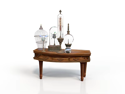 Vintage Equipment Display on Wooden Table With Birdcage Glass Dome Apparatus And Oil Lamp Items 3d model