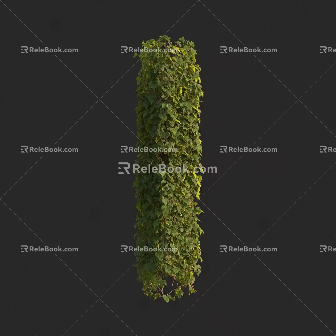 Modern brocade creeper creeper soil drum vine red grape vine climbing vine 3d model