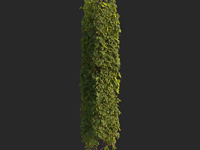 Modern brocade creeper soil drum vine red grape vine climbing vine 3d model