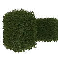 Well Trimmed Lush Green Curved Shrub For Garden Landscaping Design