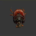 Colorful Detailed Beetle Sculpture With Vibrant Red Yellow Body And Glossy Legs
