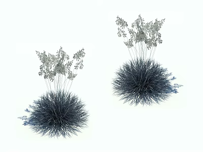 Blue Spherical Ornamental Plants with Silver Delicate Leaves and Foliage 3d model