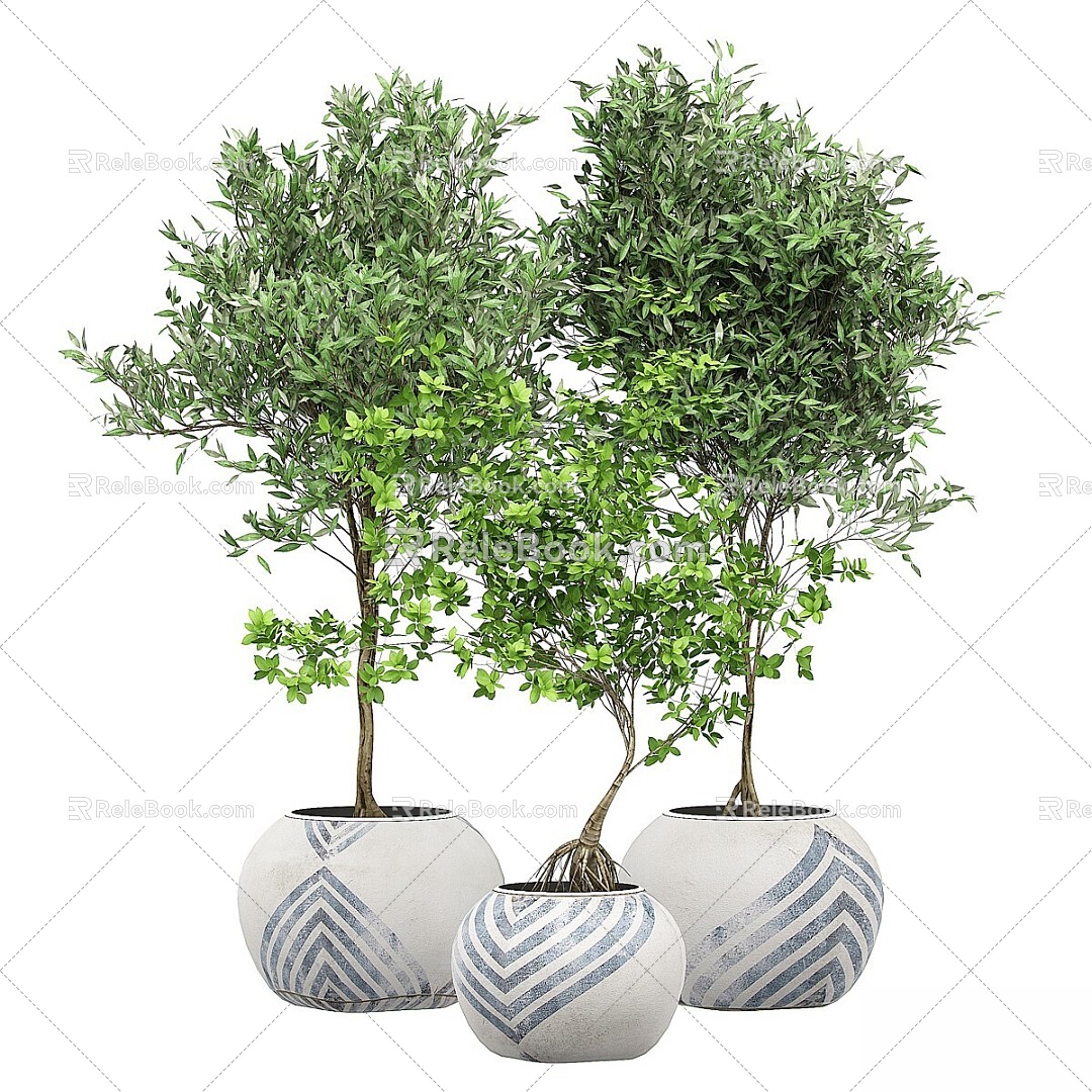 Modern Bonsai Bonsai Bonsai Wooden Flower Flower Pot Vase Medium Plant 3d model