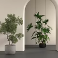 Indoor Bonsai Potted Plants Featuring Grey Cement And Black Pots In Archway Space