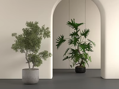 Indoor Bonsai Potted Plants Featuring Grey Cement And Black Pots In Archway Space 3d model