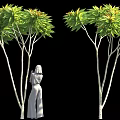 Tall Trees With Green Yellow Leaves And White Trunks Near Robed Figure