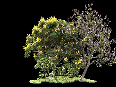 Lush Arbor Trees With Yellow And Purple Blooms Green Leaves And Grass Ground 3d model