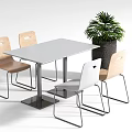 Dining Table Set Featuring White Top Light Wooden White Chairs Metal Legs And Green Plant