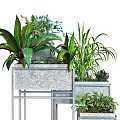 Modern Floral Display With Metal Frame Plant Stands And Various Green Plants