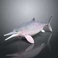 Spotting Dolphin Cartoon Dolphin Animation Dolphin Animation Dolphin Animation Character Game Character 3d model