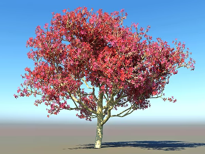 Lush Arbor Tree With Red Pink Leaves Against Clear Blue Sky Background 3d model