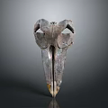 Animal Skull Sculpture With Metallic Texture Long Curved Beak And Detailed Structure Against Dark Background