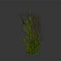 Green Plants With White Background In 3D Model Style Various Heights And Lush Leaves