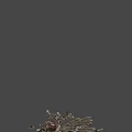 Skeleton Bone Remains 3d model
