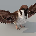 Realistic Sparrow High Precision Bird Flying Bird 3d model