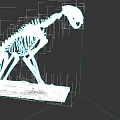 Detailed White Animal Skeleton Model On Display Stand With Black Background