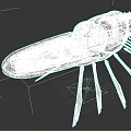 Detailed Intricate Futuristic Biomechanical Device With Transparent Casing And Metallic Leg Structures