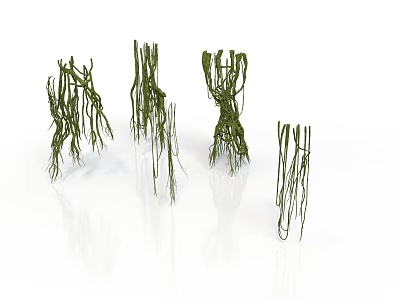 Different Shaped Green Organ Hair Structures With Slender Branches And Reflections 3d model