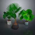 Indoor Green Plants With Various Decorative Pots And Lush Foliage