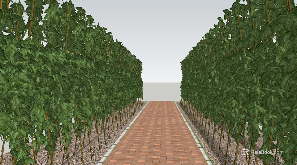 Tree Lined Brick Path With Neatly Arranged Green Trees And White Wall 3d model 