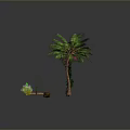 Green Ornamental Shrubs Palm Tree and Various Plants with Orange Fruits White Pots and Succulents