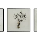 Three Panel Botanical Artworks With Dried Plant Specimens And Black Frames 3d model