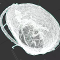 Detailed Botanical Painting of Woven Basket Filled with Fresh Wild Mushrooms