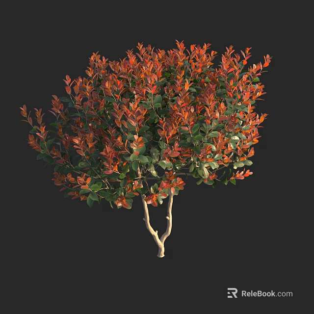 Lush Shrub With Red And Green Leaves For Garden Landscaping 3d model 