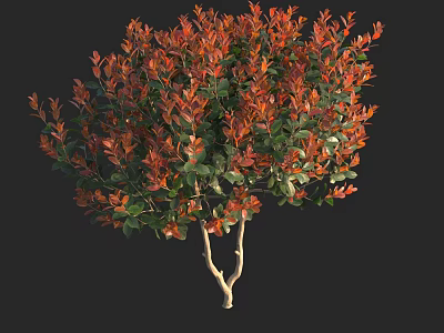 Lush Shrub With Red And Green Leaves For Garden Landscaping 3d model