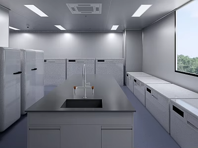 Modern Laboratory Interior Design With Stainless Steel Workbench Sink And Cabinets 3d model