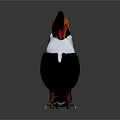 Colorful Toucan Character With Large Orange Red Black Beak And White Black Body