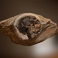 Weathered Stone Wood Decorative Piece With Natural Rough Texture And Irregular Shape