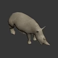 Rhinoceros 3D Model With Standing Pose And Detailed Gray Texture