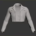 Light Gray Cropped Motorcycle Jacket With Lapel Collar And Striped Sleeves 3d model