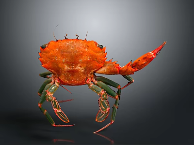 Vibrant Orange Crab With Green And Red Legs On Dark Background 3d model