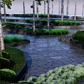 Tranquil Garden Landscape With Tall Trees Green Grass Stone Path And Water Feature